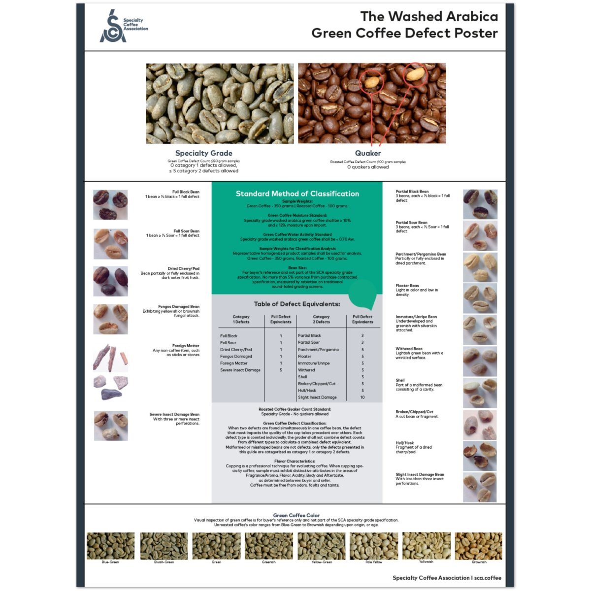 Arabica Poster - English - SCA