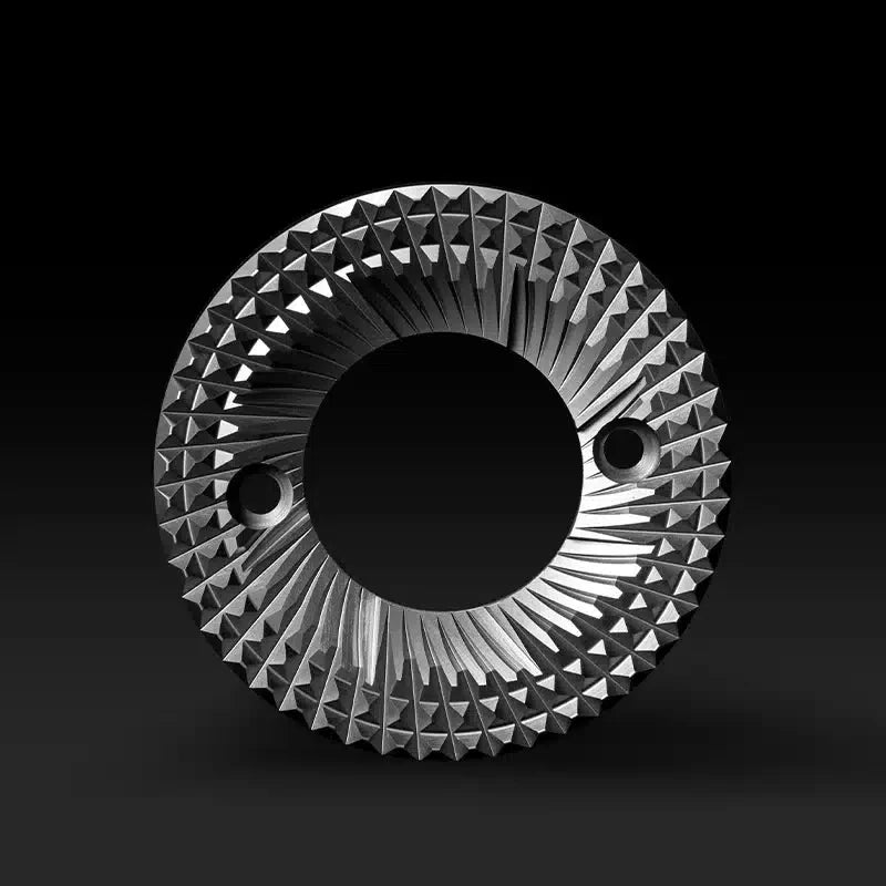 Sculptor 078