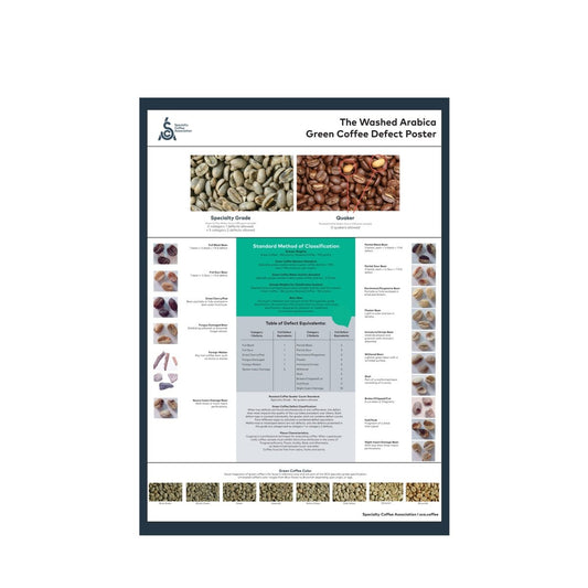 Arabica Poster - English - SCA