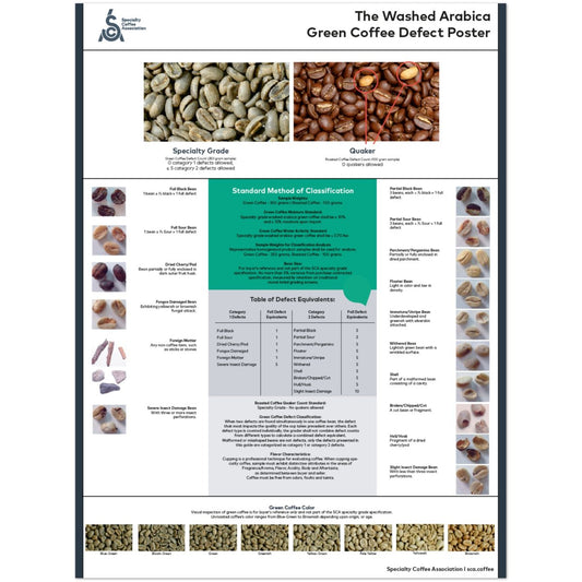 Arabica Poster - English - SCA