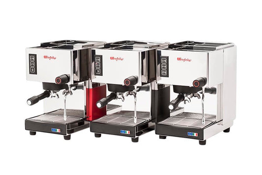 Magister ES30 espresso machine