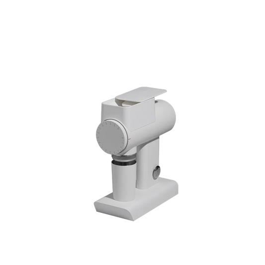 Sculptor 064
